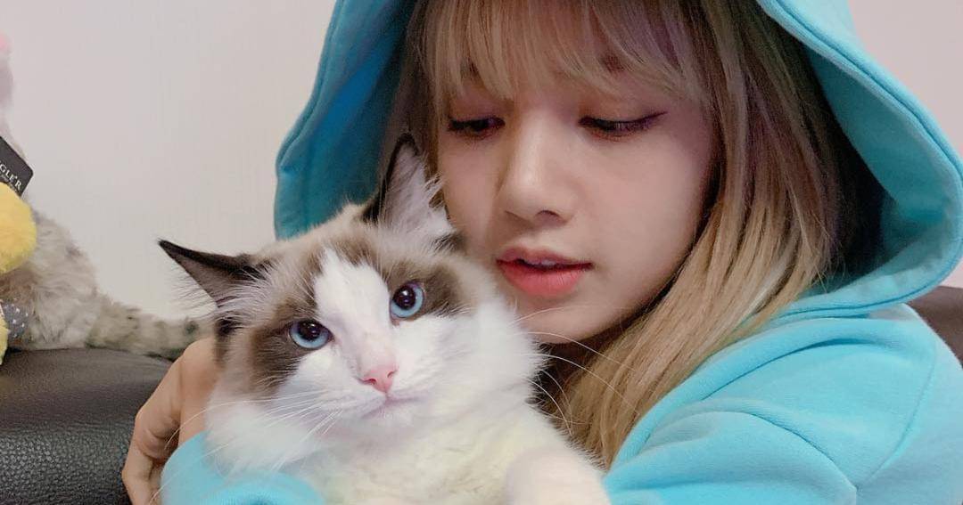 Instagram.com/lalalalisa_m